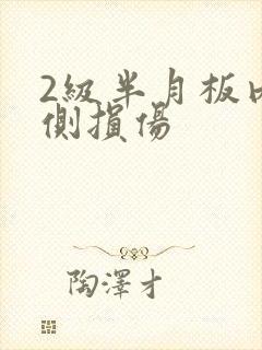 2级半月板内外侧损伤