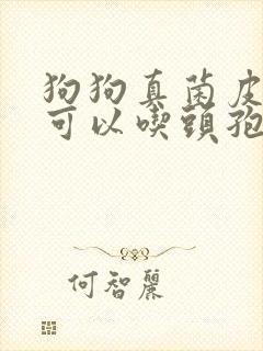 狗狗真菌皮肤病可以吃头孢吗