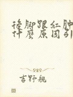 后脚跟红肿疼痛什么原因引起的呢