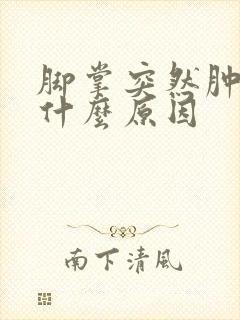脚掌突然肿了是什么原因封面