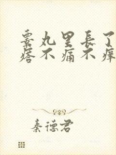 睾丸里长了硬疙瘩不痛不痒封面