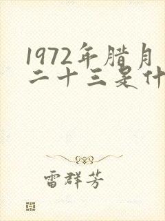 1972年腊月二十三是什么命