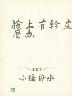 脸上有干皮癣怎么办