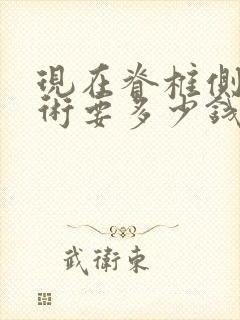现在脊椎侧弯手术要多少钱