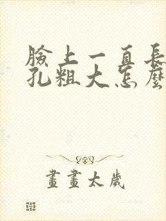 脸上一直长痘毛孔粗大怎么办