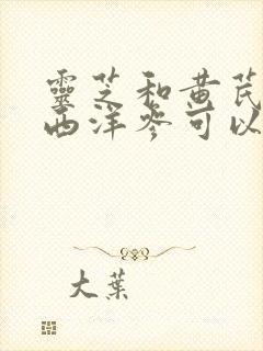 灵芝和黄芪枸杞西洋参可以泡水喝吗
