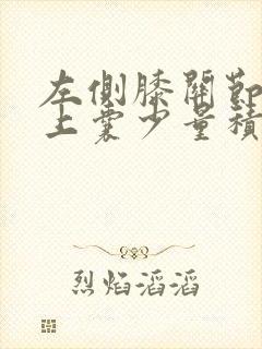 左侧膝关节及髌上囊少量积液