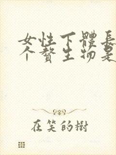 女性下体长了两个赘生物是怎么回事
