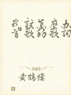 我该怎么办是哪首歌的歌词