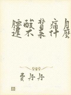 腰酸背痛月经迟迟不来什么原因封面