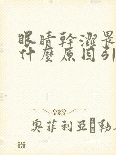 眼睛干涩畏光是什么原因引起的