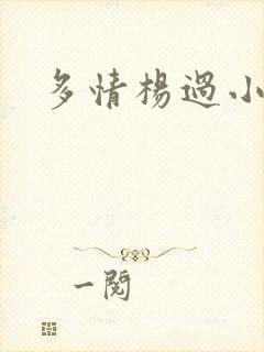多情杨过小说