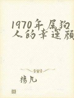 1970年属狗人的幸运颜色