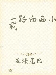 一路向西小说下载