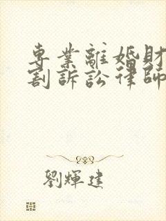 专业离婚财产分割诉讼律师