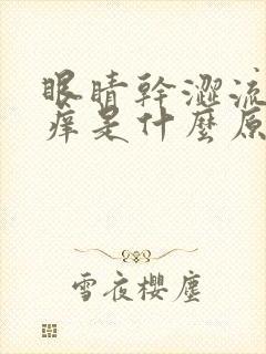 眼睛干涩流泪发痒是什么原因引起的