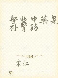 哪些中药是补气补肾的
