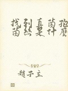 找到真菌孢子及菌丝是什么意思