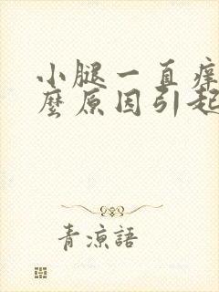 小腿一直痒是什么原因引起的封面