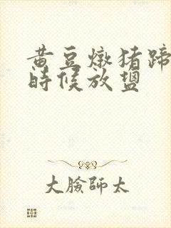黄豆炖猪蹄什么时候放盐