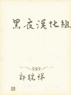 黑夜汉化组