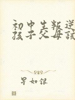 初中生叛逆期的孩子父母该怎么沟通封面