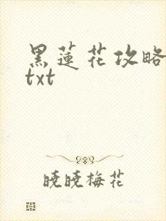 黑莲花攻略手册txt