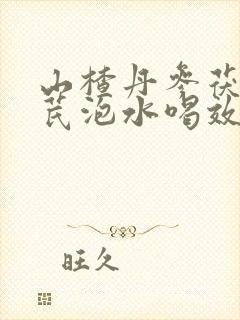 山楂丹参茯苓黄芪泡水喝效果封面