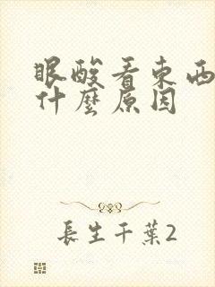 眼酸看东西模糊什么原因封面