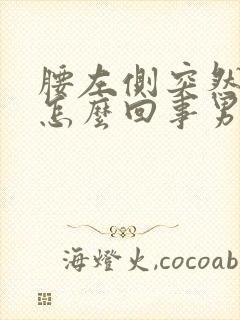 腰左侧突然疼是怎么回事男性