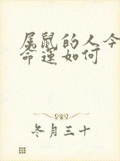 属鼠的人今年的命运如何