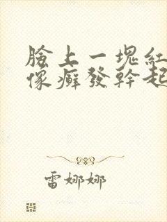 脸上一块红红的像癣发干起皮封面