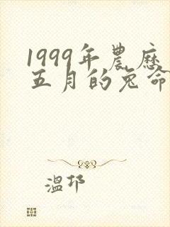 1999年农历五月的兔命运如何