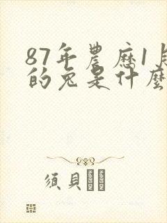 87年农历1月的兔是什么命