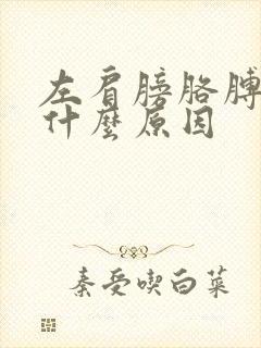 左肩膀胳膊疼痛什么原因封面