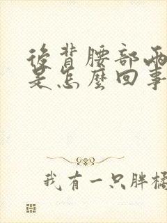 后背腰部两侧疼是怎么回事封面