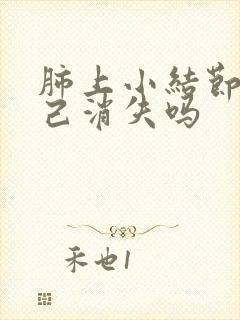 肺上小结节会自己消失吗封面