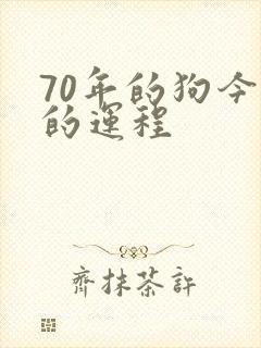 70年的狗今年的运程封面