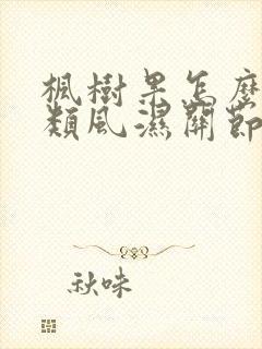 枫树果怎么治疗类风湿关节炎封面