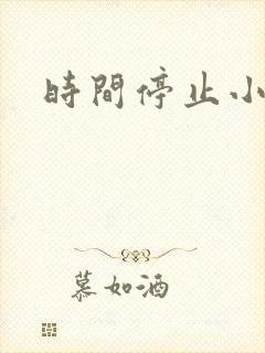 时间停止小说