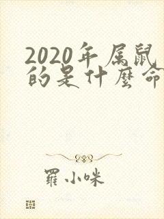 2020年属鼠的是什么命五行封面