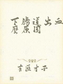 下肠道出血有什么原因封面