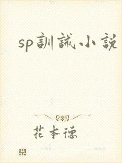 sp训诫小说