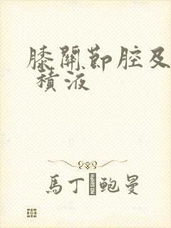 膝关节腔及髌上 积液