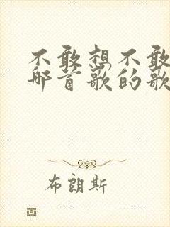 不敢想不敢问是哪首歌的歌词