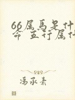 66属马是什么命 五行属什么