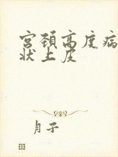 宫颈高度病变鳞状上皮
