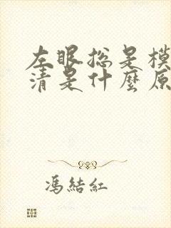 左眼总是模糊不清是什么原因