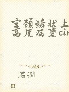 宫颈鳞状上皮内高度病变cin2