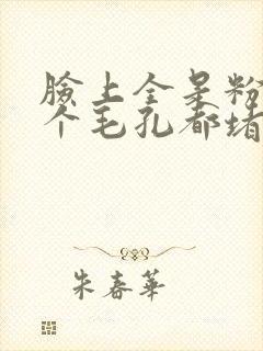 脸上全是粉刺每个毛孔都堵了咋办